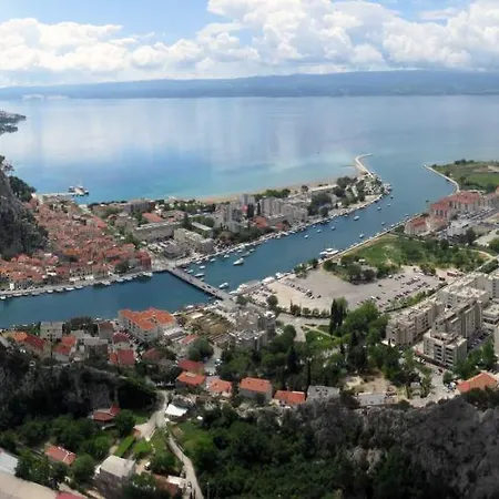Zizi * Omis