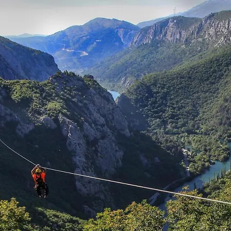 Zizi * Omis