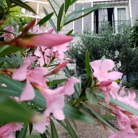 Zizi Apartment