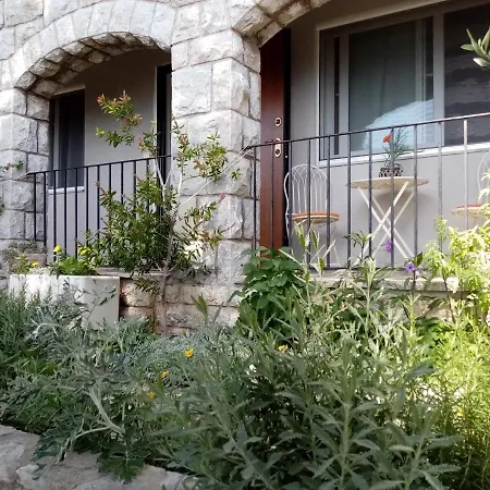 Zizi Apartment