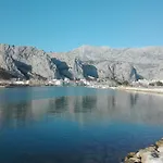 Zizi