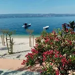 Zizi أوميس