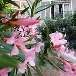Zizi شقة