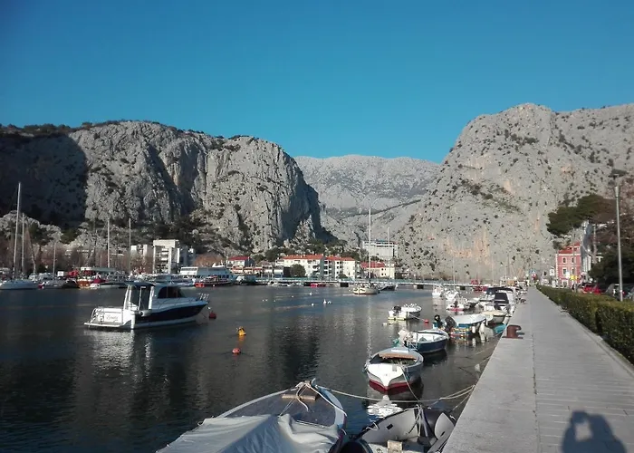 Zizi Omis