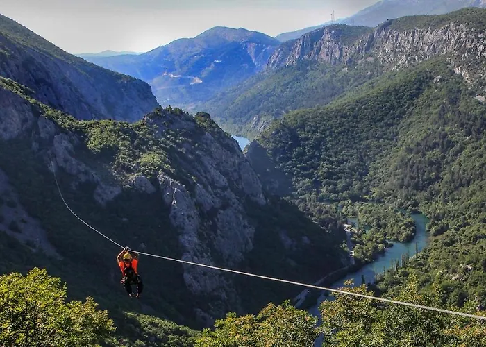Zizi * Omis