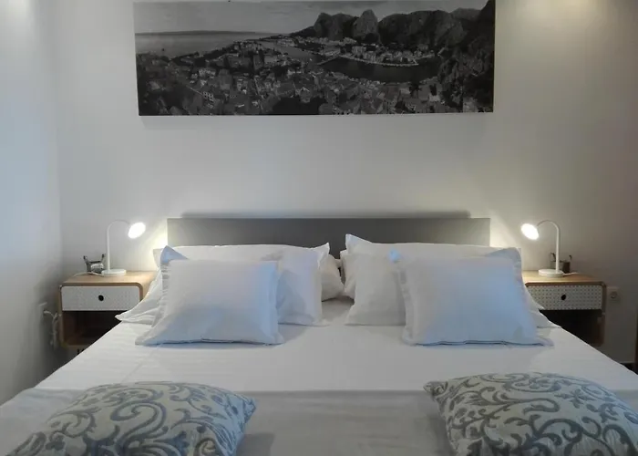 Zizi Omis