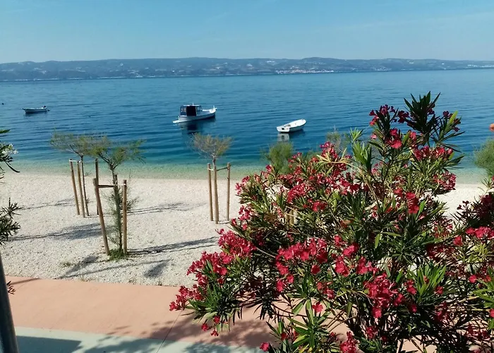 Zizi Omis