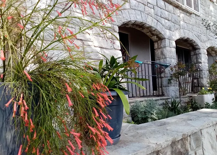 Apartment Zizi Omis