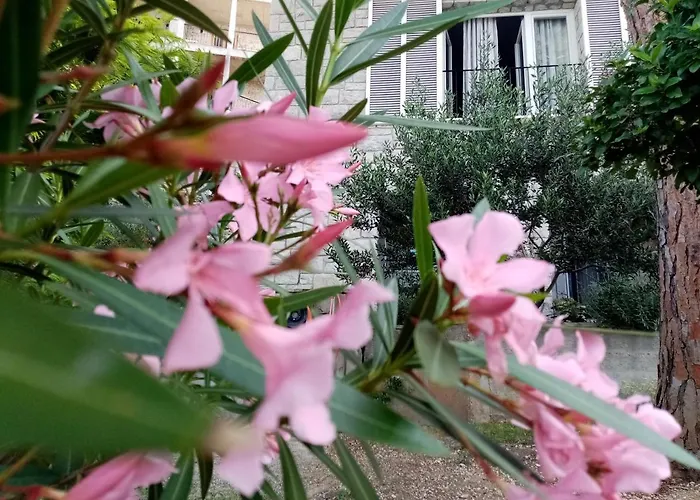 Zizi Apartment