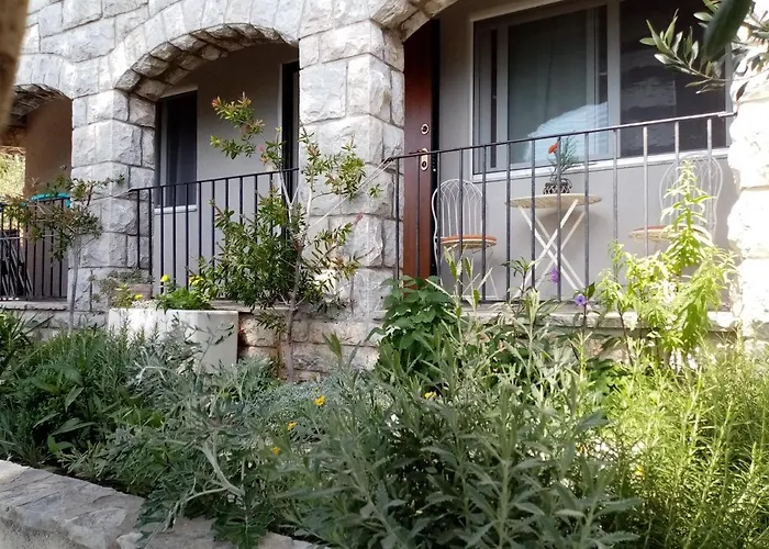 Zizi Apartment